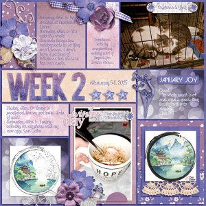 Week 2