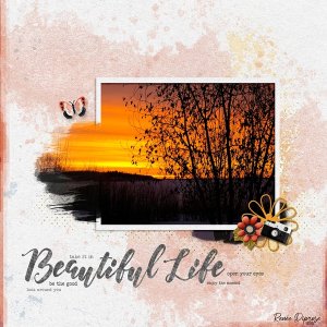 Beautiful Life