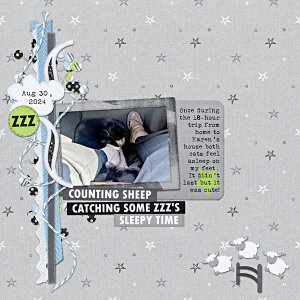 Sleepy Kitties on a Raod Trip