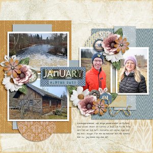 January Days 19