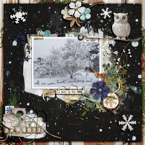 Winter Woods