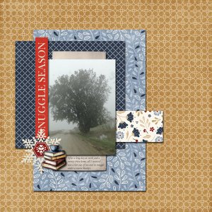 Misty Day