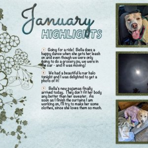 2025 January Highlights