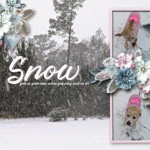 Snow Gets In Your Nose