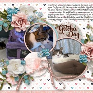 Gotcha Day for Miss Kitty