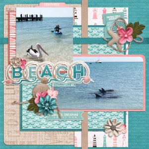 Beach Adventure