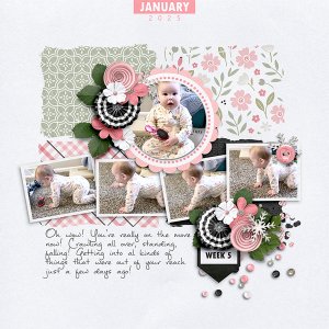 Chloe in January 4