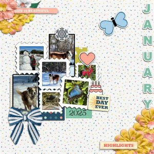 Daily Download Feb