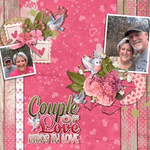 Couple Of Love Birds In Love