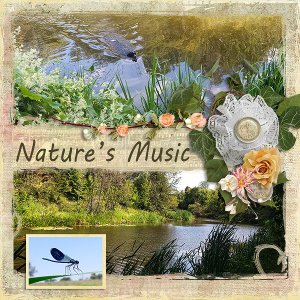 Natures Music