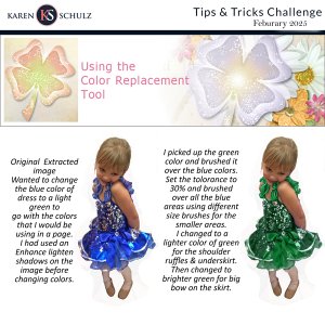 Feb Tips and Tricks by Karen Schulz