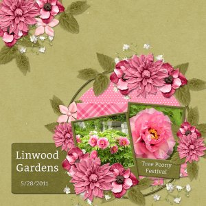 Linwood Gardens - Tree Peonies