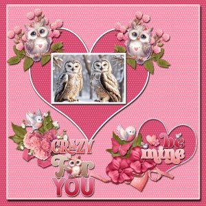 Owl Always Love You