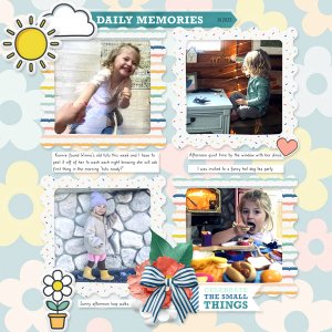 Daily Memories