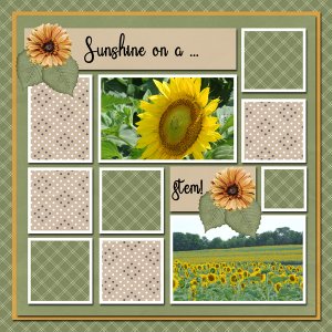 Sunshine on a stem!