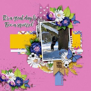 Designer Spotlight-JB Studios