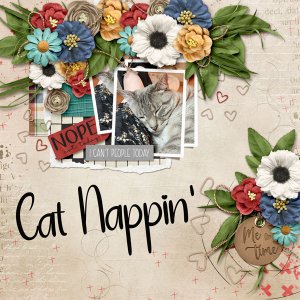 Designer Spotlight-Cindy Ritter