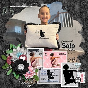 Embroidered Solo Pillow