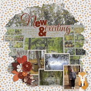 New And Exciting