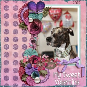 My Sweet Valentine