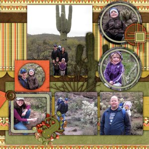 Arizona 2010