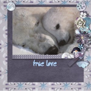 true_love4