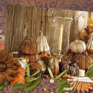 Beauty of Autumn