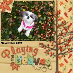 Playing in the leaves