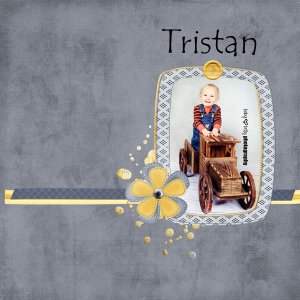 Tristan and his Truck