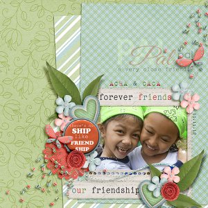 Friendship