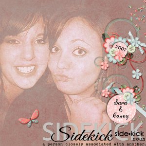 Sidekick