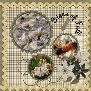 Seasons: Signs of Fall