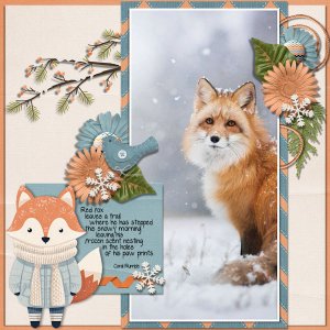 Red Fox