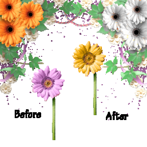 Tips and Tricks Replacement Tool