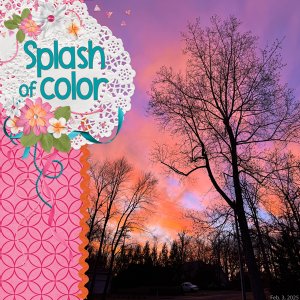 Splash of Color