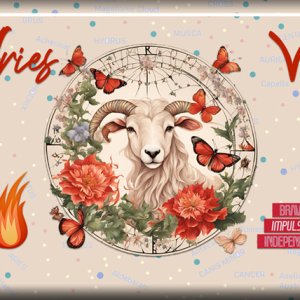 ATC 2025-009 Aries