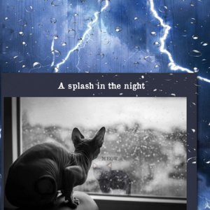 A splash in the night