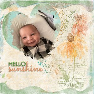 Hello Sunshine!