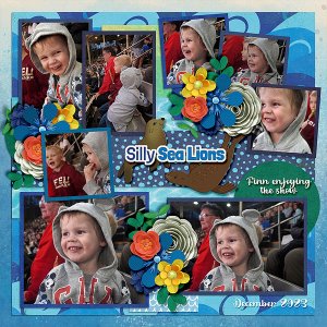 finn-sw-sea-lion-1223
