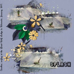 Splash