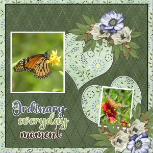 Ordinary everyday moment