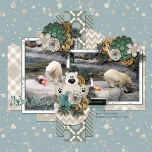 Polar Bear Shores 1