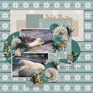 Polar Bear Shores 2