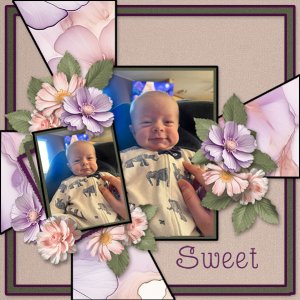 Sweet
