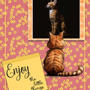 Enjoy