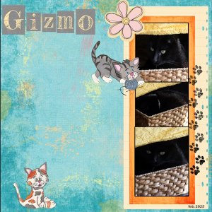 Feb.2025 Scraplift-Gizmo in de basket