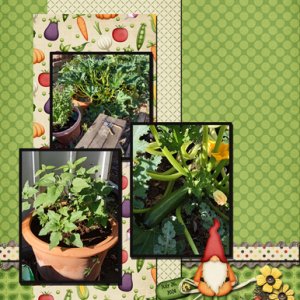 In The Garden