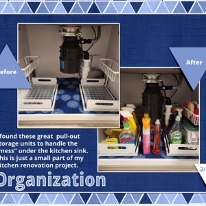 Organization