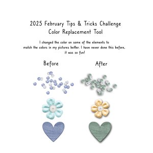 2025 February Tips + Tricks Challenge-Color Replacement Tool
