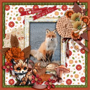 I-love-foxes